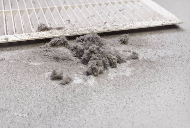 Best Local Air Duct Cleaning Services  in Alorton, IL