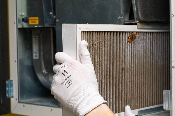 Best Emergency Air Duct Cleaning  in Alorton, IL