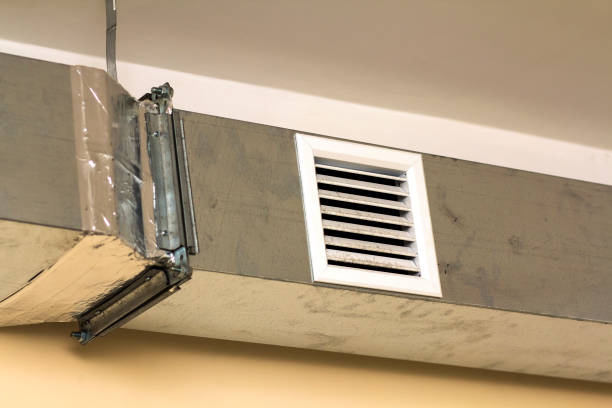 Best Air Duct Mold Removal  in Alorton, IL